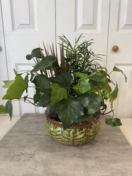 Ceramic Dish Garden 10 Inch from Aladdin's Floral in Idaho Falls